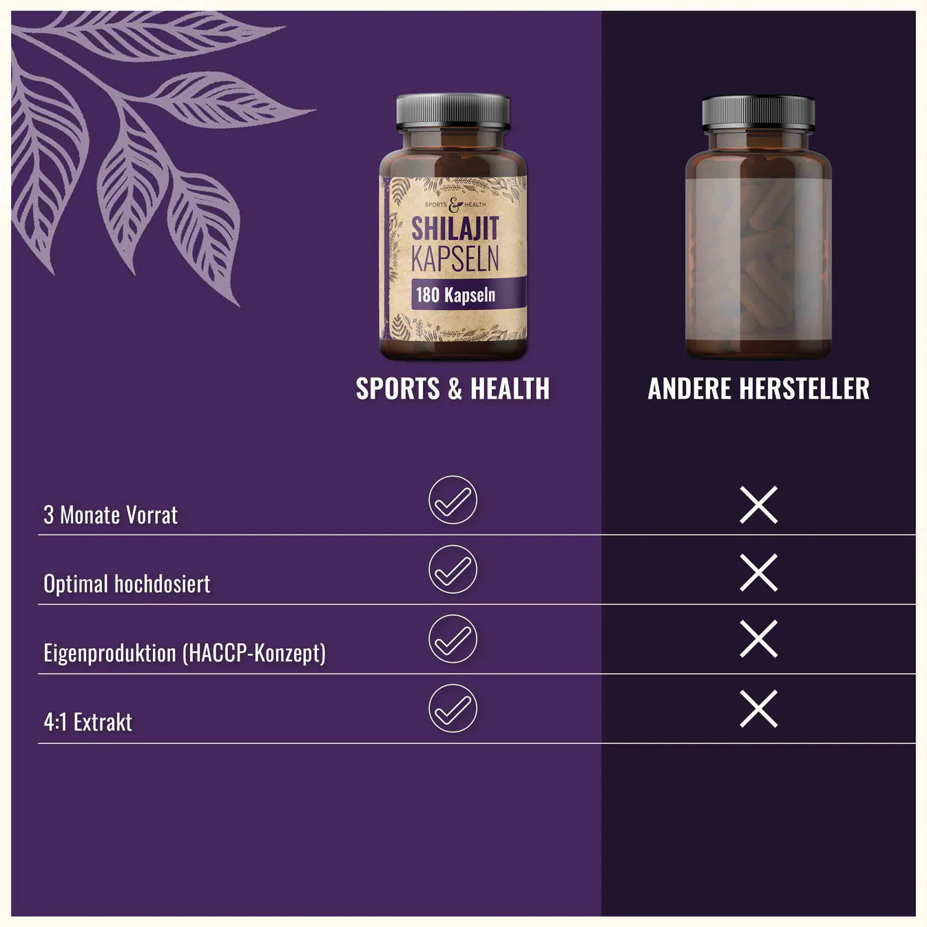 Shilajit Kapseln